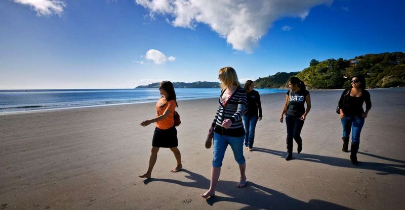 Waiheke Island: Ferry & Hop-On Hop-Off Explorer Bus Tickets - Olive oil, tastings, and non-wine treats that make the day feel complete