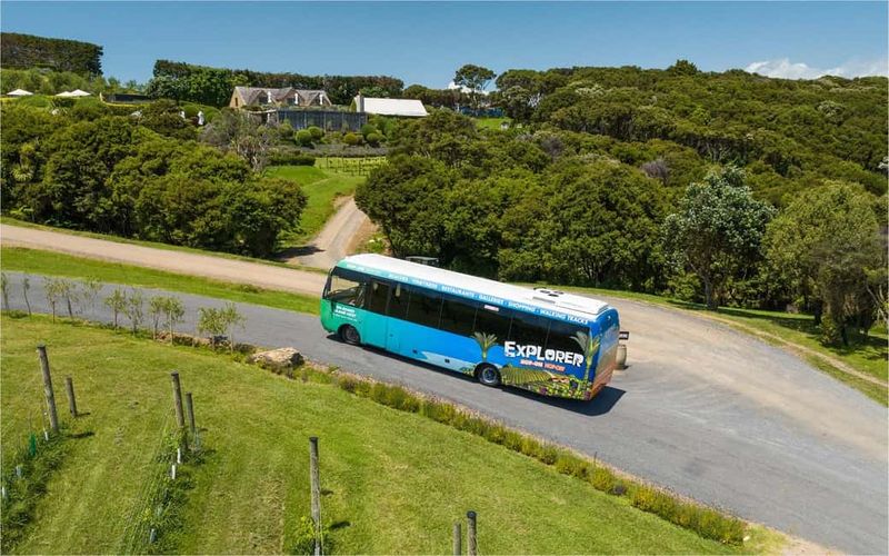 Waiheke Island: Ferry & Hop-On Hop-Off Explorer Bus Tickets - Beaches and nature: Onetangi and the Whakanewha walk loop