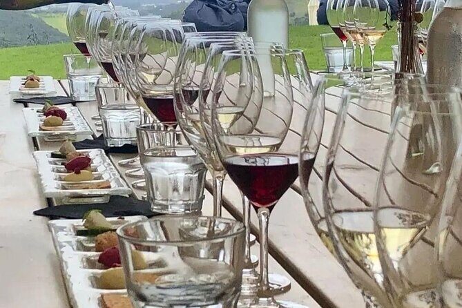 Waiheke Island Gourmet Food and Wine Tour - Final Thoughts