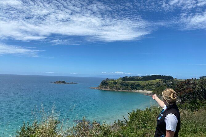 Waiheke Island Half Day Scenic Wine and Lunch - What We Think About the Experience