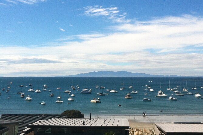 Waiheke Island Half Day Scenic Wine and Lunch - Final Thoughts: Is This Tour for You?