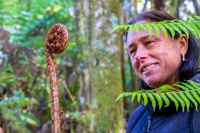 Waiheke Island History and Heritage Tour - Practical Details and Tips