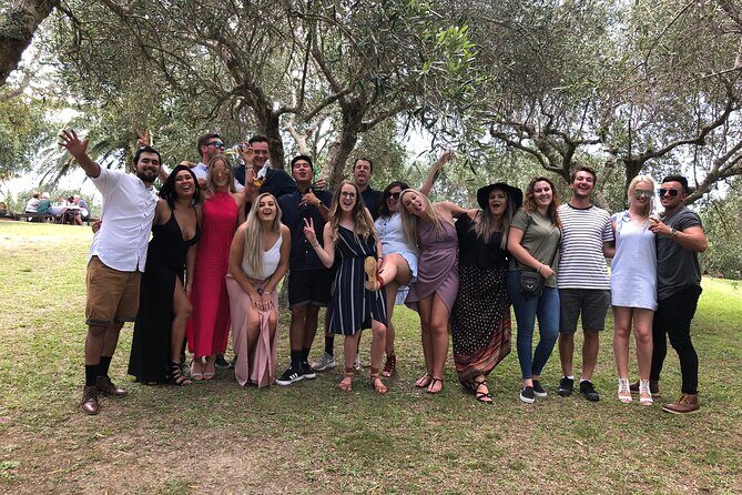 Waiheke Island Premium Wine Tour with Tastings - Who Should Consider This Tour?