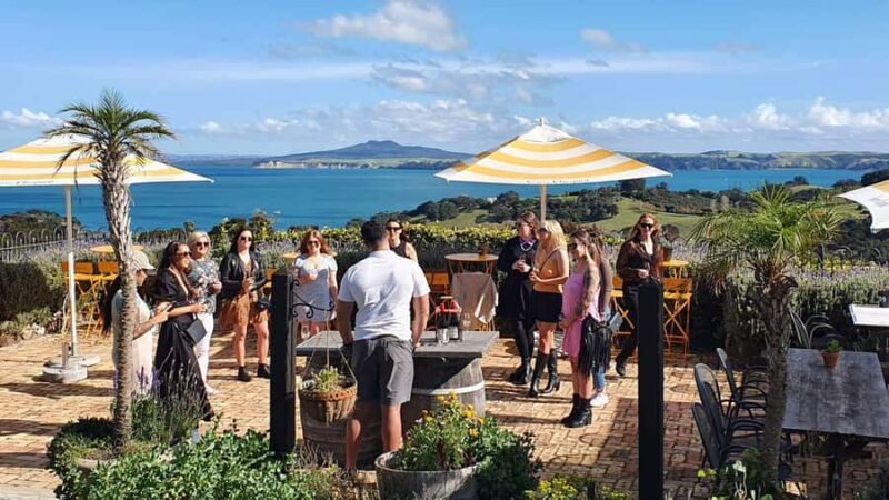 Waiheke Island: Scenic Island Wine Tour & Local Wine Tasting - Key Points
