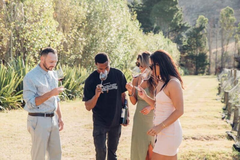 Waiheke Island: Scenic Island Wine Tour & Local Wine Tasting - What to Expect on Waiheke’s Scenic Wine Tour