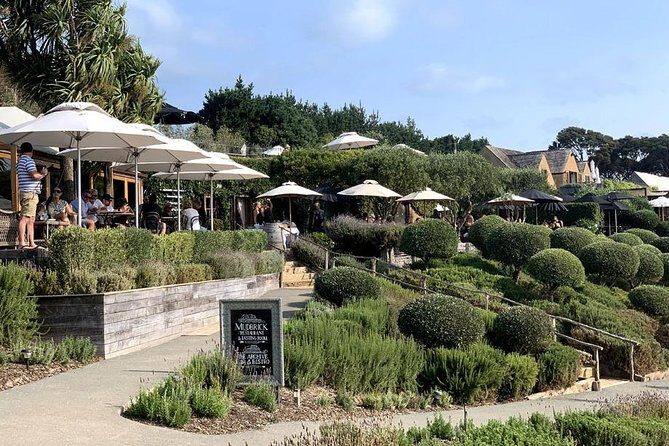 Waiheke Island Vineyards and Bush Walk - Why This Tour Stands Out