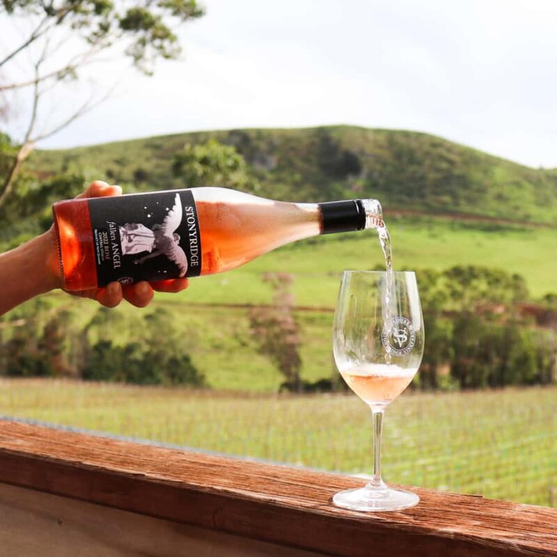 Waiheke Island: Wine Tour & Lunch at Award Winning Venue - Who Is This Tour Best For?