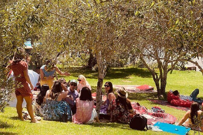 Waiheke Island Wine Tour with Tastings & Gourmet Beachfront Lunch - What Sets This Tour Apart