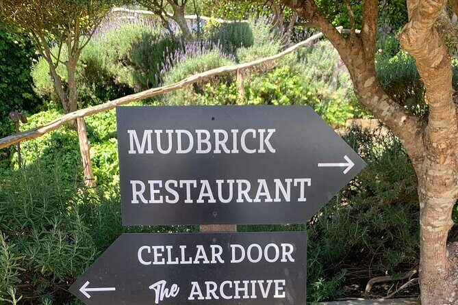 Waiheke Island Wine Tour with Tastings & Gourmet Beachfront Lunch - Final Reflection: Who Is This Tour For?