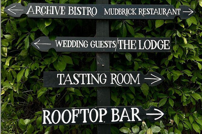 Waiheke island wine tours with Waitiki Tours - Final Thoughts: Is It Worth It?