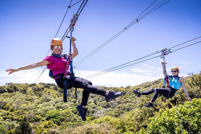 Waiheke Island: Zipline And Forest Walk - Key Points