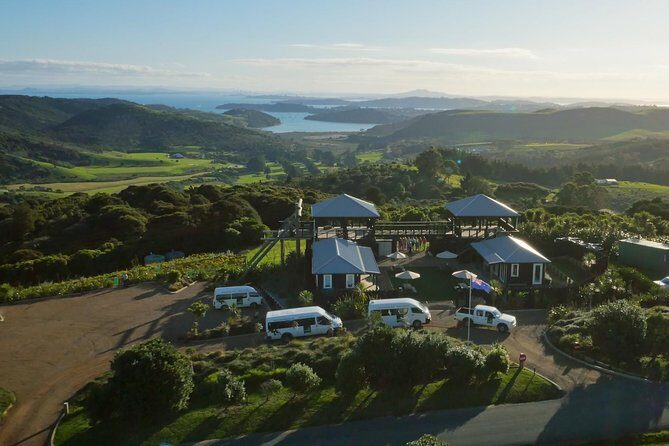 Waiheke Island: Zipline And Forest Walk - The Practical Side: What You Need to Know