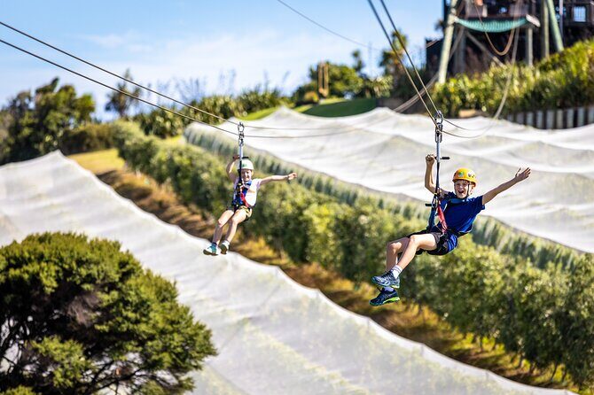 Waiheke Island: Zipline And Forest Walk - The Bottom Line: Is It Worth It?