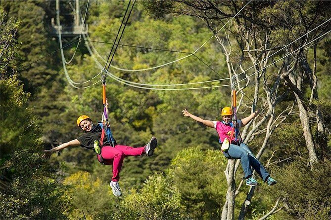Waiheke Island: Zipline And Forest Walk - Frequently Asked Questions