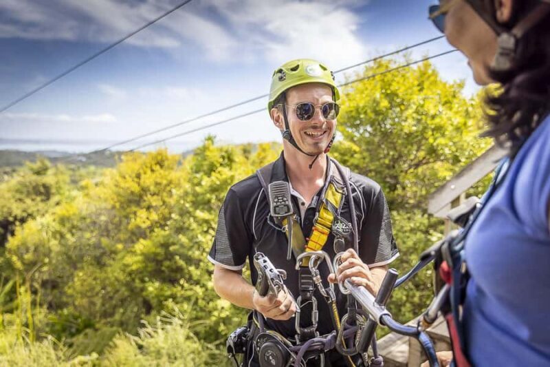 Waiheke Island: Zipline and Native Forest Adventure Trip - The Experience Guides