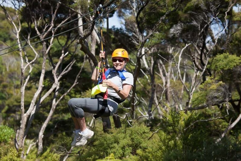 Waiheke Island: Zipline and Native Forest Adventure Trip - Who Would Enjoy This Tour?