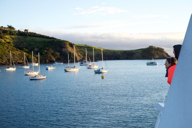 Waiheke Wine and Dine - Batch Winery - Who Should Consider This Tour?