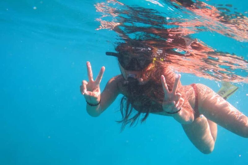 Waikiki: AM Paradise Honu Snorkeling - The Experience: What to Expect from Start to Finish