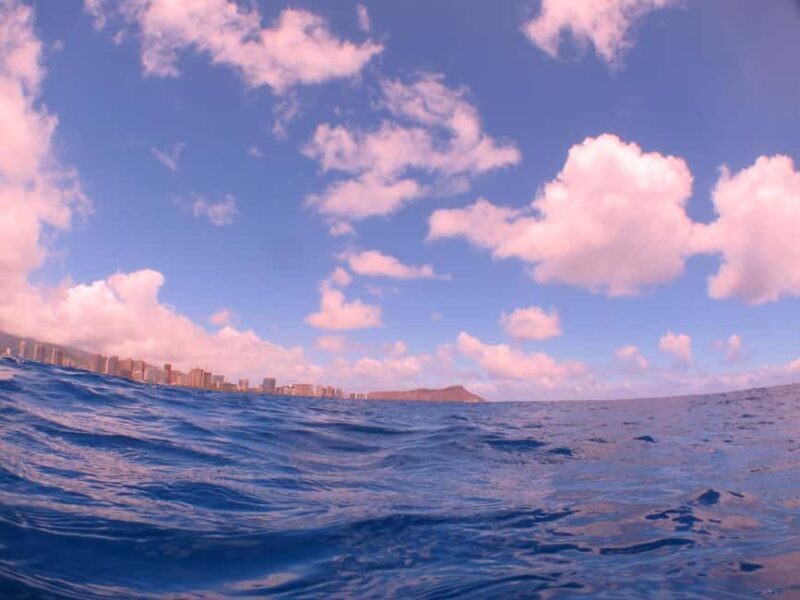 Waikiki: AM Paradise Honu Snorkeling - The Downsides? A Few Considerations