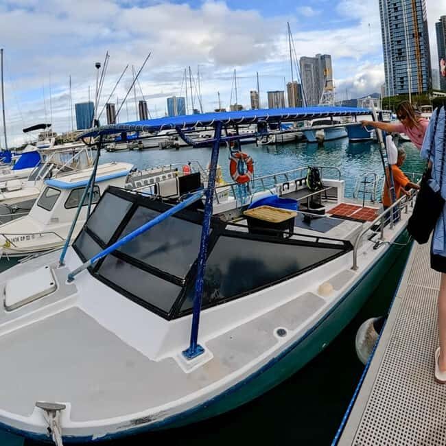 Waikiki: AM Paradise Honu Snorkeling - FAQ