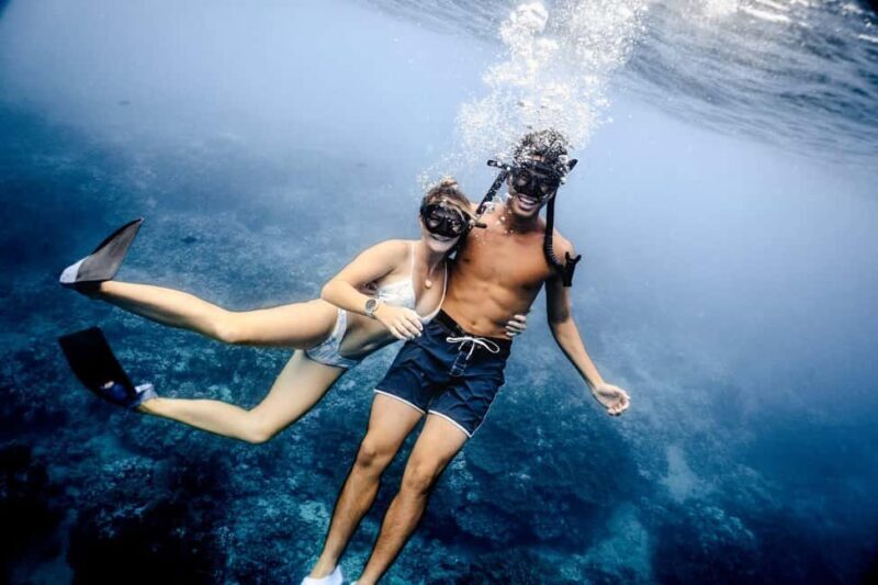 Waikiki Exclusive Snorkel + Lunch - Who Should Consider This Tour?