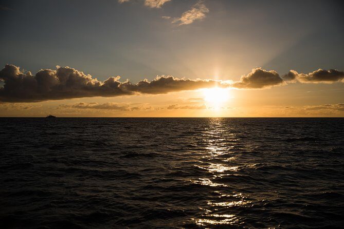 Waikiki Fireworks Dinner Cruise: Sail & Sparkle on Friday Nights - Practical Details and Tips