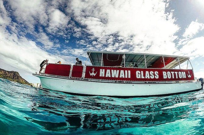 Waikiki Glass Bottom Boat Tour - What to Expect from the Waikiki Glass Bottom Boat Tour