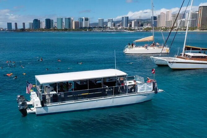 Waikiki Green Sea Turtle Snorkeling Tour - Boat Excursion - FAQ