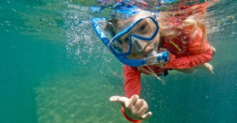 Waikiki: Honolulu Beginner Snorkeling Tour with Videos - What to Expect in Your Waikiki Snorkeling Adventure