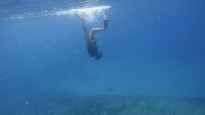 Waikiki: Honolulu Beginner Snorkeling Tour with Videos - Who Will Appreciate This Tour?