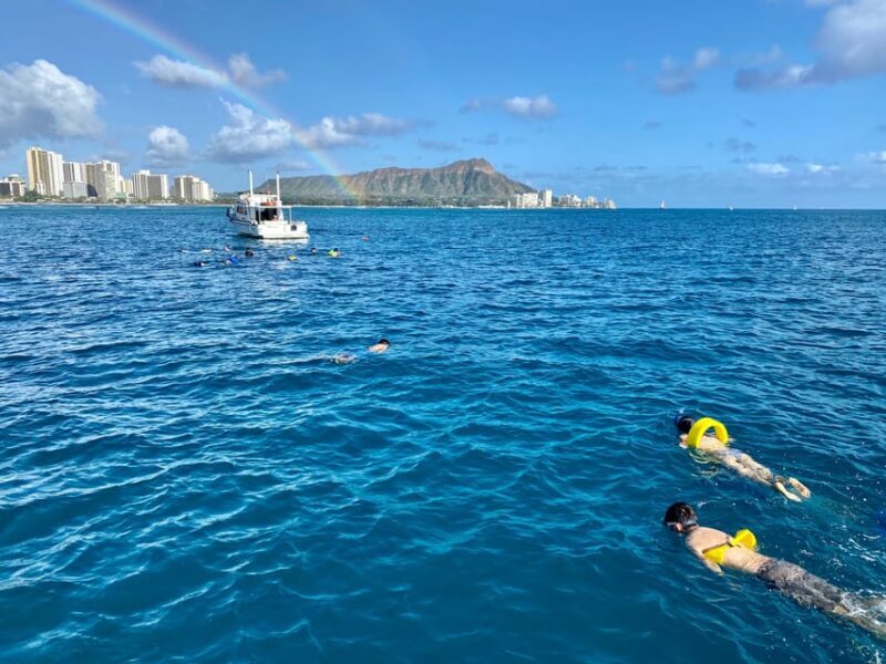 Waikiki: Sea Turtle Snorkeling, Small Group Boat Tour - In Closing