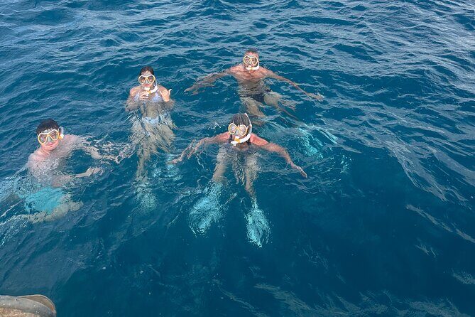 Waikiki small group turtle snorkeling & sailing - The Sum Up