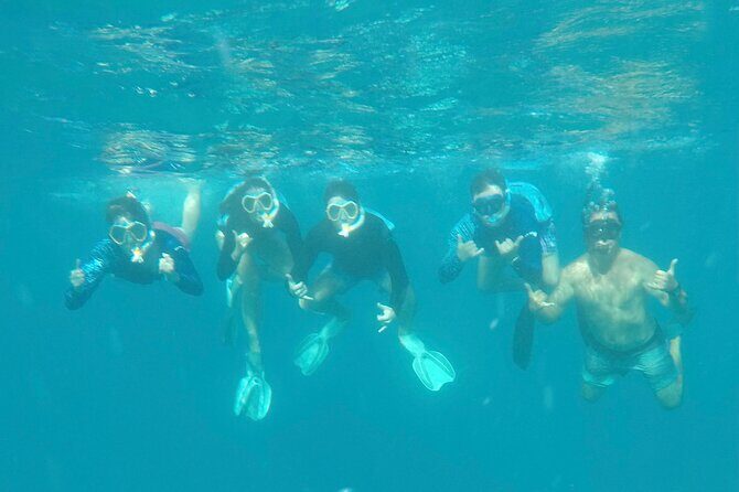 Waikiki small group turtle snorkeling & sailing - FAQs