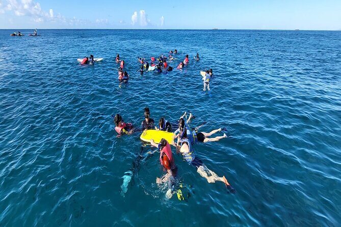 Waikiki Sunset & Wine Turtle Snorkeling Cruise - Cancellation & Weather