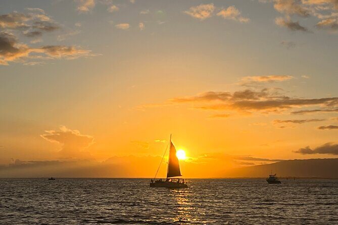 Waikiki Sunset & Wine Turtle Snorkeling Cruise - Who Will Love This Tour?