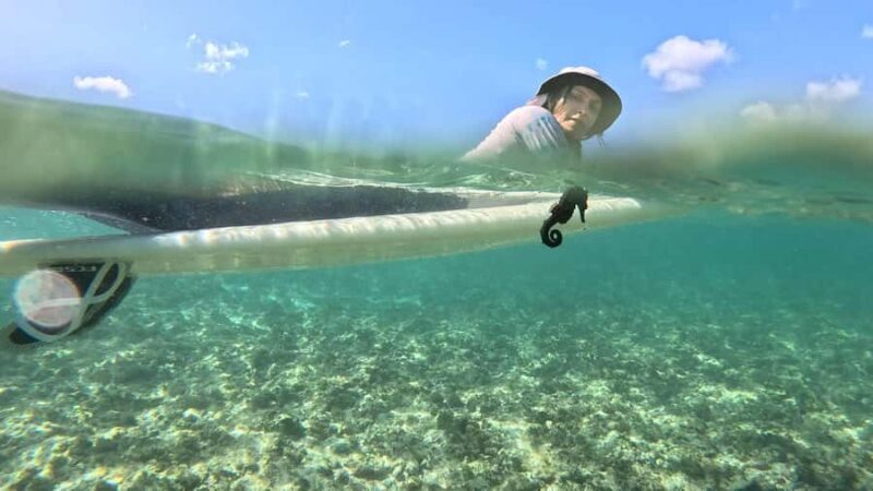 Waikiki: Surf Lessons Easy 60 min classes no crowds! - The Experience: What You Get and What It Means for You