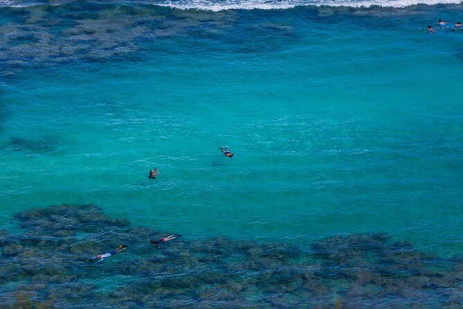Waikiki Trolley Hop-On Hop-Off Tour of Honolulu - Exploring Honolulu with the Waikiki Trolley