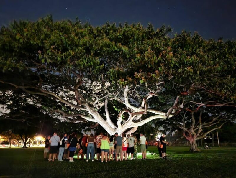Waikiki: Waikiki Night Marchers Ghostly Walking Tour - The Experience You Can Expect