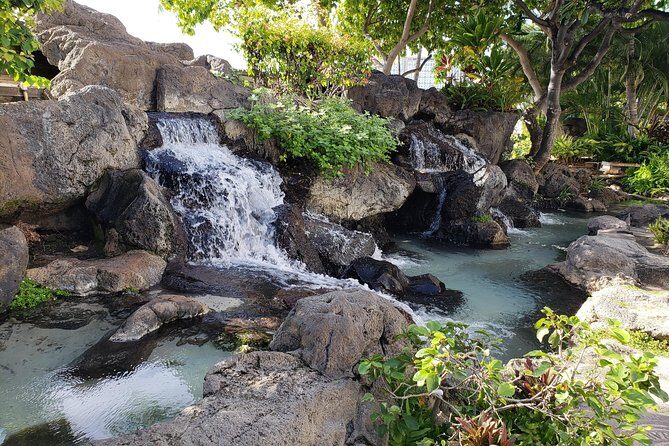 Waikiki Walking Tour, Treats, Free Video and Pics! - What to Expect from the Waikiki Walking Tour