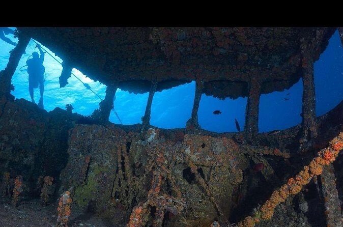 Waikikis Best Wreck And Reef Dive - Price and Value