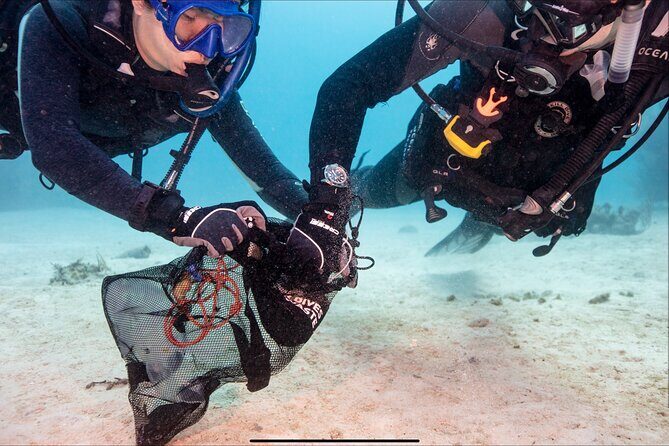 Waikikis Best Wreck And Reef Dive - The Logistics