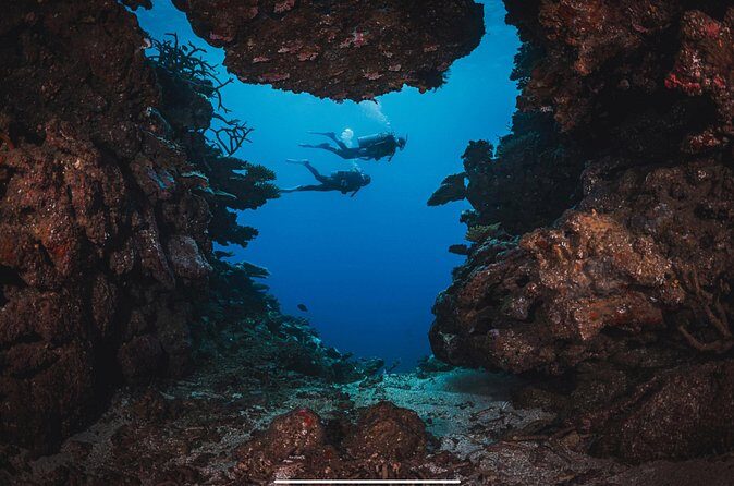 Waikikis Best Wreck And Reef Dive - Who Should Consider This Tour?