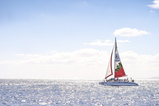 Waikoloa Turtle Catamaran Snorkel Sail - Key Points