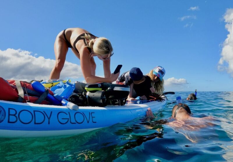 Wailea Beach: Snorkeling for Non-Swimmers Guided Tour - Key Points