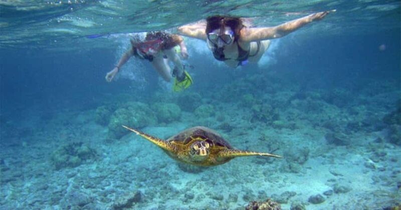 Wailea-Makina: Sea Caves, Molokini Snorkel & Turtle Town - An In-Depth Look at the Tour Experience