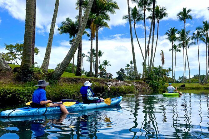 Wailoa River to King Kamehameha Statue Kayak Adventure - The Experience: What It’s Really Like