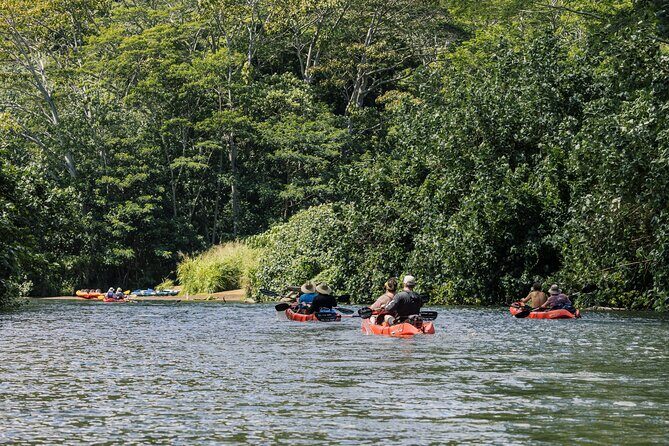 Wailua River: Kayak & Secret Waterfall Adventure - The Guides: Knowledgeable and Engaging