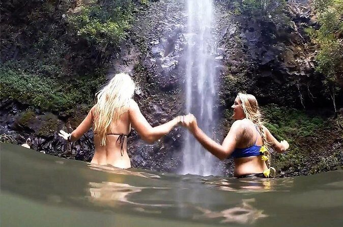 Wailua River: Kayak & Secret Waterfall Adventure - Who Should Consider This Tour?