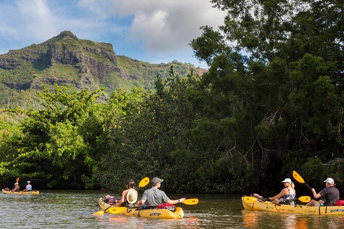 Wailua River Paddle - The Experience’s Strengths