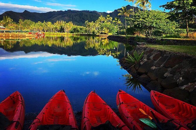 Wailua River & Waterfalls Kayak Tour: Expert-Guided Adventure - The Practical Side: What You Need to Know